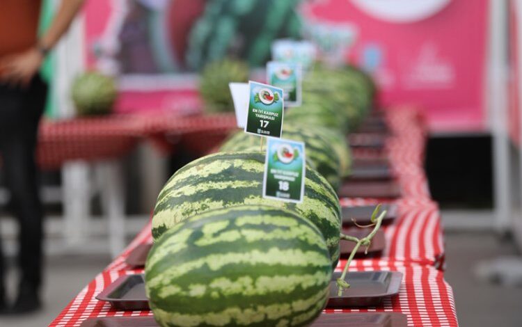 Silivri’de Karpuz Festivali coşkusu yaşandı Silivri’de Karpuz Festivali coşkusu yaşandı