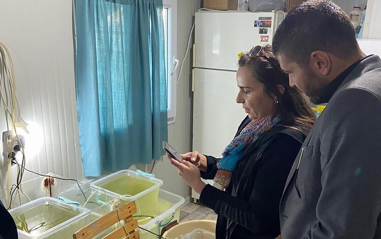 Foça’nın Tübitak projesi tamamlandı Foça’nın Tübitak projesi tamamlandı