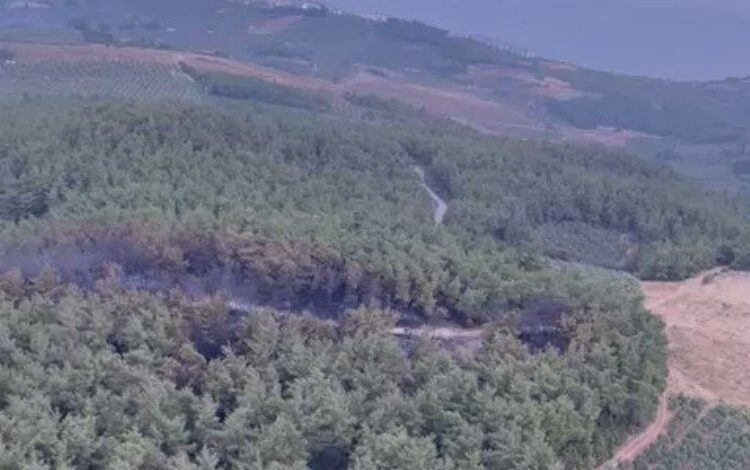 Bursa Mudanya’daki büyük orman yangını kontrol altına alındı
