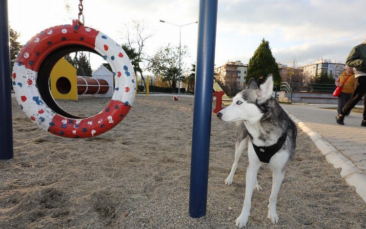 İzmir Gaziemir’de köpek parkı