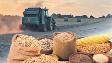 Çiftçilere 1,2 milyar TL’lik destek hesaplarda