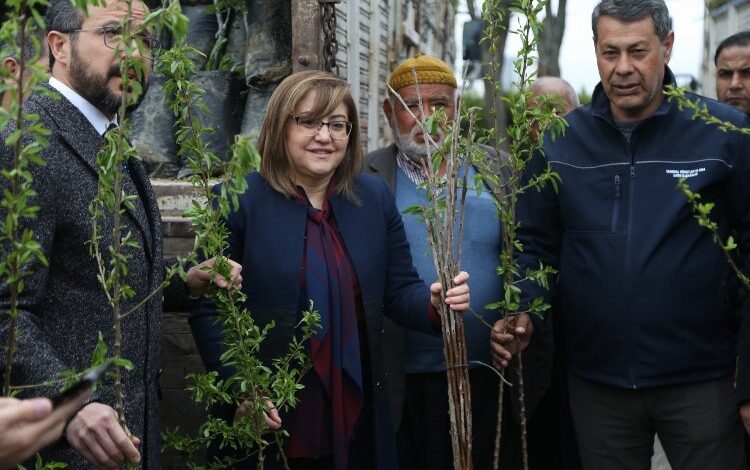 Gaziantep’te kırsaldaki çiftçiye 50 bin fidan Gaziantep’te kırsaldaki çiftçiye 50 bin fidan