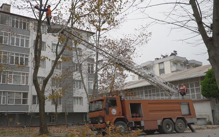 Bursa Mustafakemalpaşa’da budanan ağaç dalları ‘yakacak’ oluyor