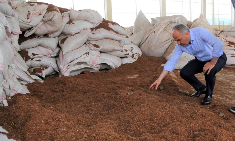 Rize’de çay çöpünden mangal kömürü üretilecek