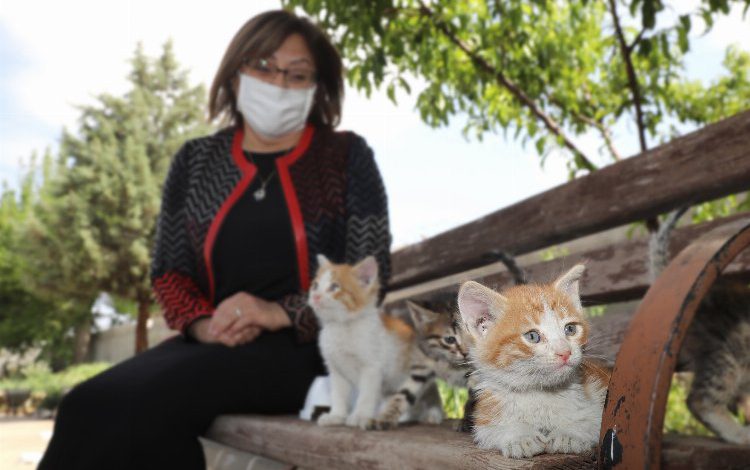 Gaziantep’te can dostlarına mama desteği devam ediyor Gaziantep’te can dostlarına mama desteği devam ediyor