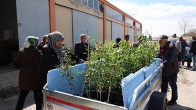 Konya üretici çiftçiye desteğinde hız kesmiyor