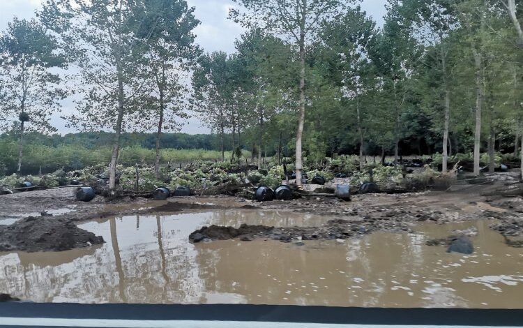 Kırklareli’de sel 2 can aldı Kırklareli’de sel 2 can aldı