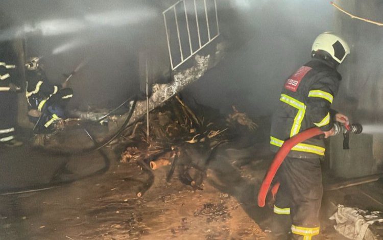 Adıyaman’daki yangında 2 büyükbaş hayvan telef oldu Adıyaman’daki yangında 2 büyükbaş hayvan telef oldu