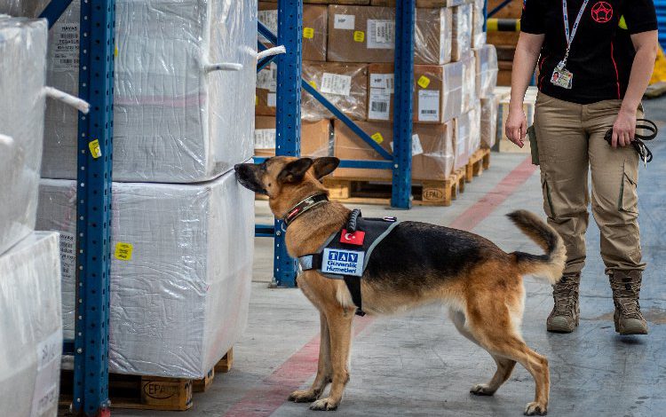 K9 köpekleri COVID-19 kontrolüne başlayacak K9 köpekleri COVID-19 kontrolüne başlayacak