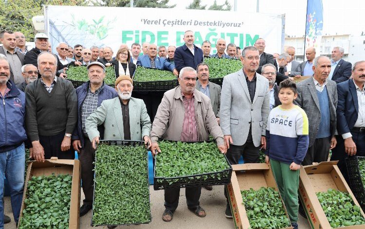 Gaziantep’te çiftçiye ‘yerel ürün fide’ desteği