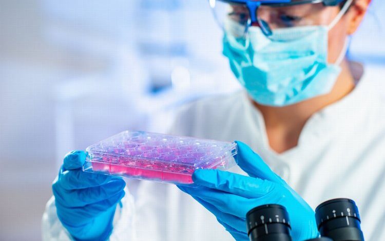 KKTC’de ilk kez kök hücre tedavisine başladı