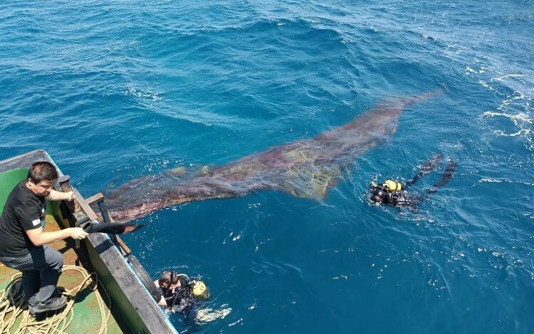 Ege ve Marmara’da hayalet avı
