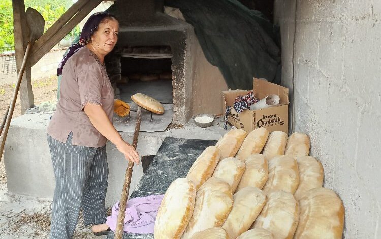 Köylü Firuzan ablanın girişimciliği ‘ekmek’ kapısı oldu Köylü Firuzan ablanın girişimciliği ‘ekmek’ kapısı oldu