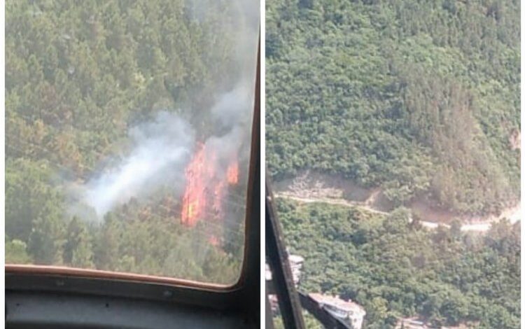 Yalova Çınarcık’taki orman yangını korkuttu