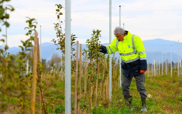 Yüksek teknolojiyle yükselen Sakarya Yüksek teknolojiyle yükselen Sakarya