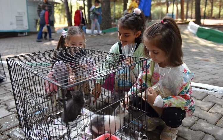Bursa Yıldırım’da binlerce hayvana sıcak yuva Bursa Yıldırım’da binlerce hayvana sıcak yuva
