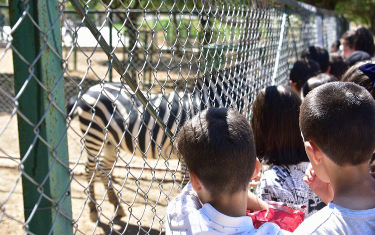 Malatya’da yaz okulu öğrencilerinden Hayvanat Bahçesi ziyareti