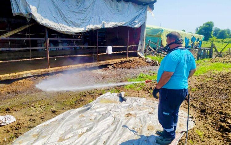 Sakarya’da 16 ilçede vektörle mücadeleye devam Sakarya’da 16 ilçede vektörle mücadeleye devam