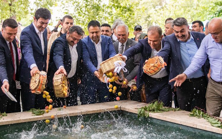 Kayısı Festivali ekonomiye katkı sağlıyor Kayısı Festivali ekonomiye katkı sağlıyor