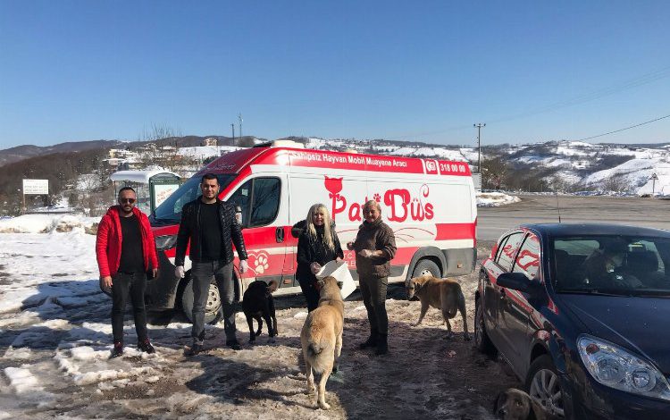 Kocaeli İzmit’te Patibüs can dostların yanında Kocaeli İzmit’te Patibüs can dostların yanında