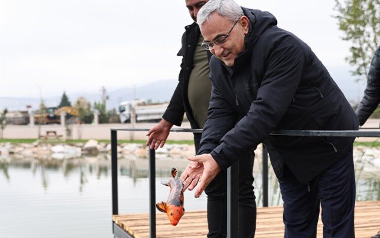 Yedigöller’e koi balığı bırakıldı