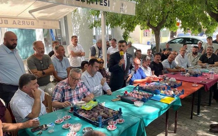 Bursa’da İYİ Partililer, incir üreticisinin mağduriyetini dile getirdi