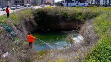 Haşere ile mücadele erken başladı