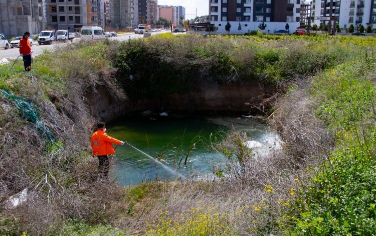 Haşere ile mücadele erken başladı Haşere ile mücadele erken başladı