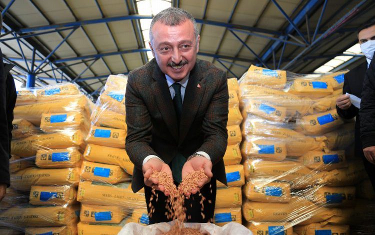 Kocaeli Büyükşehir’den ayçiçeği üreticisine gübre desteği