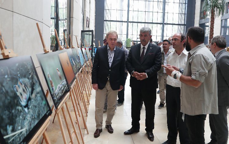 200 fotoğrafçı Kütahya’yı fotoğrafladı 200 fotoğrafçı Kütahya’yı fotoğrafladı