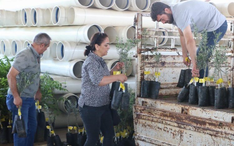 Çiftçilerin fidan sevinci! Taşı taşı bitmedi Çiftçilerin fidan sevinci! Taşı taşı bitmedi