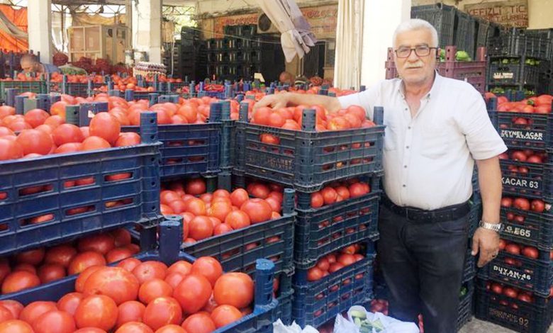 Kilis’te salçalık domatesler çıktı Kilis’te salçalık domatesler çıktı