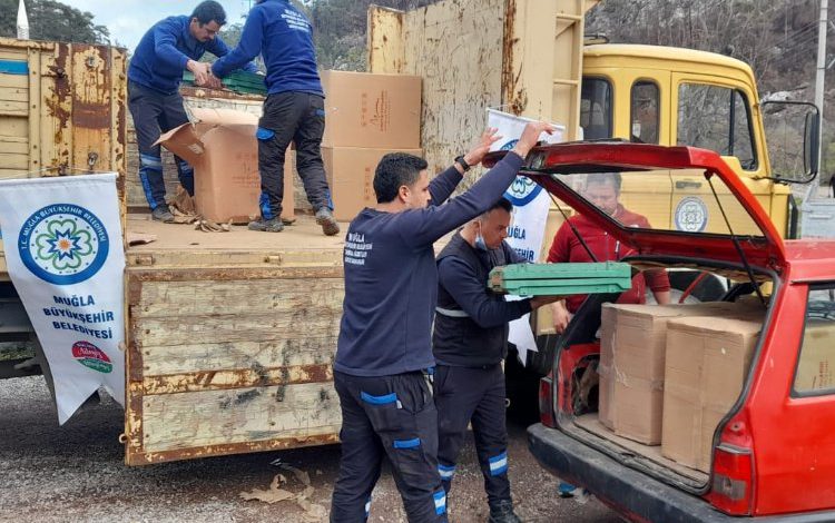 Muğla Büyükşehir, yangın mağduru arıcılara desteğini sürdürüyor Muğla Büyükşehir, yangın mağduru arıcılara desteğini sürdürüyor