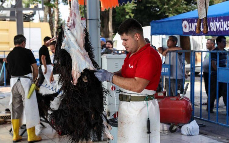 Antalya Büyükşehir’den ücretsiz kurban kesim hizmeti Antalya Büyükşehir’den ücretsiz kurban kesim hizmeti