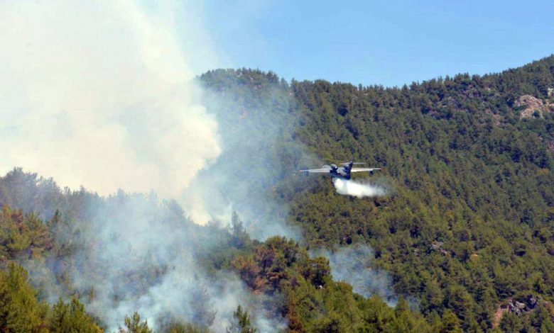 Uzmanlar açıkladı: Yangınlar aynı anda nasıl başladı?