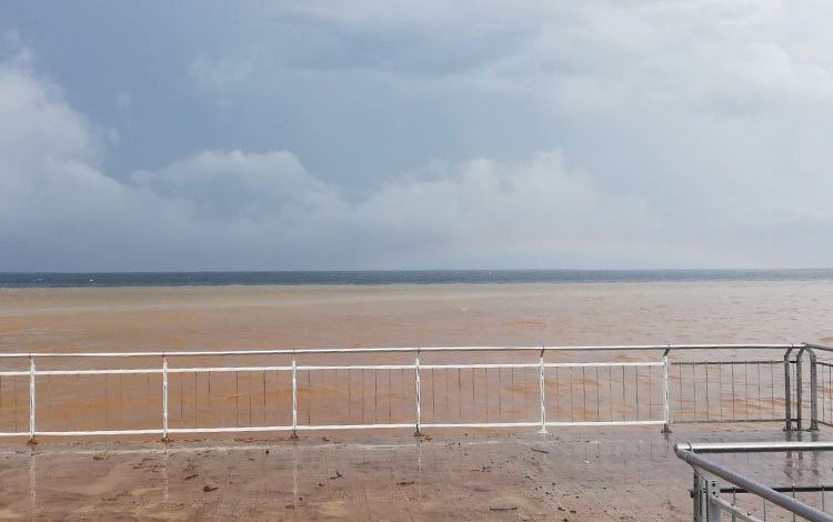 Bursa Mudanya’da deniz çamur rengine döndü