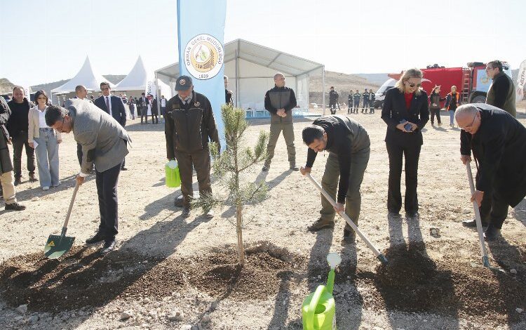 Kütahya’daki madenlerini 80 bin fidanla yeşertiyor