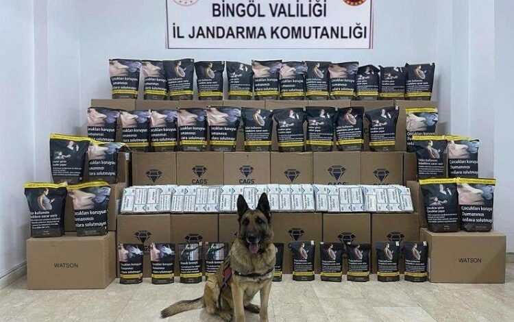 Bingöl’de kaçak tütüne 1 gözaltı Bingöl’de kaçak tütüne 1 gözaltı
