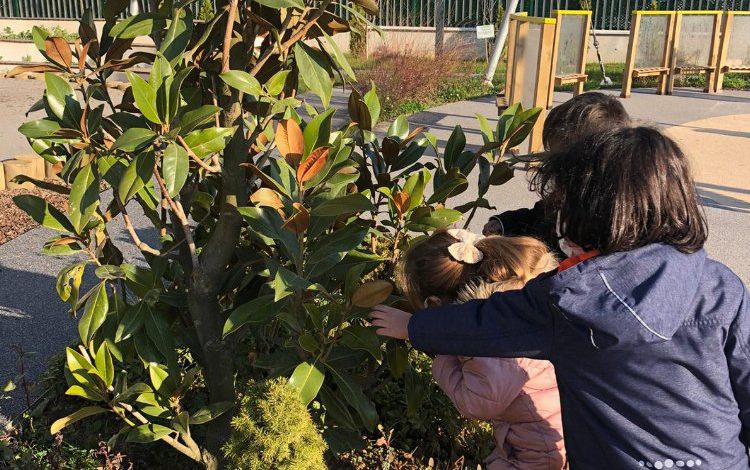 Kocaeli İzmit’te minikler ağacını buldu