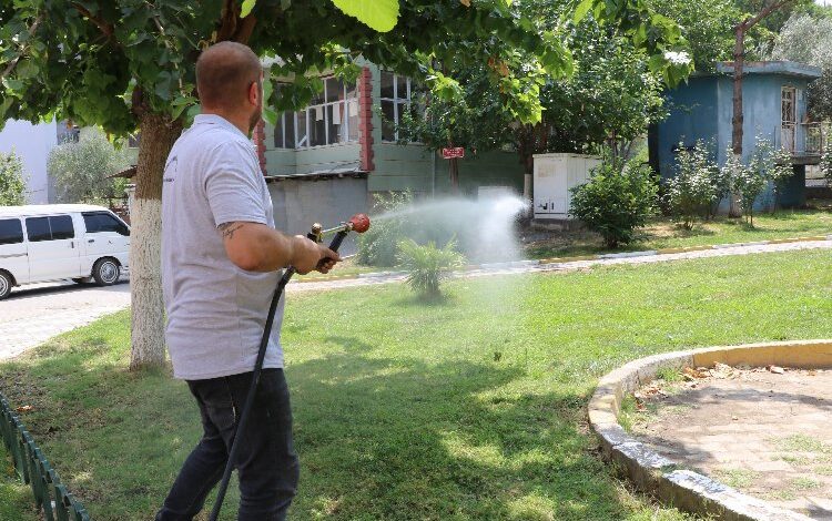 Somalı muhtarlar ilaçlama çalışmasında