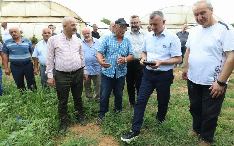 Çiftçiye 137 Milyon TL’lik destek Çiftçiye 137 Milyon TL’lik destek