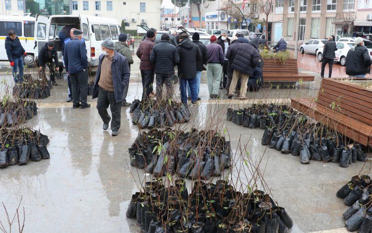 Manisa’da 7 bin ceviz ve badem fidanı dağıtıldı