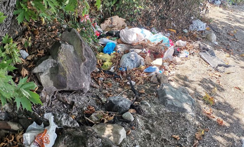 Sakarya Sapanca Gölü’nden torbalarca atık toplandı Sakarya Sapanca Gölü’nden torbalarca atık toplandı