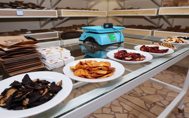 Sakarya’ya büyük katma değer… Hedef 10 bin ton kurutulmuş meyve Sakarya’ya büyük katma değer… Hedef 10 bin ton kurutulmuş meyve