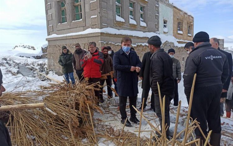 Yoğun kardan ağılın çatısı çöktü, 15 koyun telef oldu Yoğun kardan ağılın çatısı çöktü, 15 koyun telef oldu