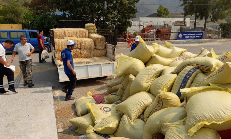 Muğla’dan 368 ton hayvan besini desteği