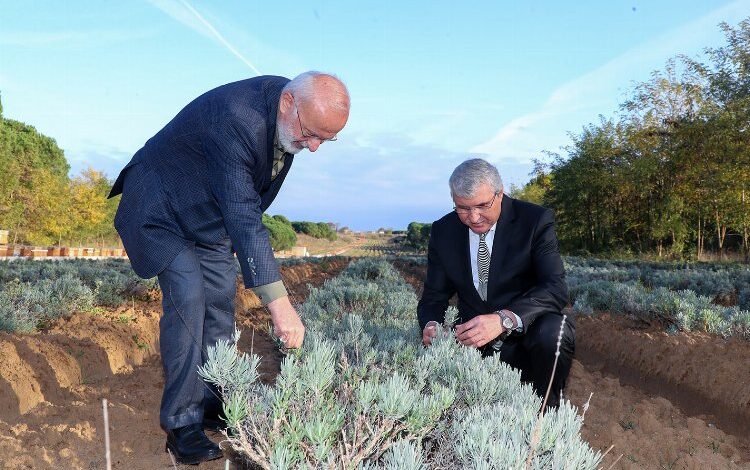 Cumhurbaşkanı Başdanışmanı Kasırga Sakarya’da