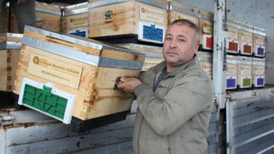 Antalya Kemer’de arı üreticilerine kovan desteği