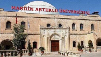 Mardin Artuklu’dan ‘uzman’ atak