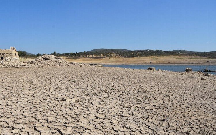 Muğla’da su kaynakları azaldı Muğla’da su kaynakları azaldı